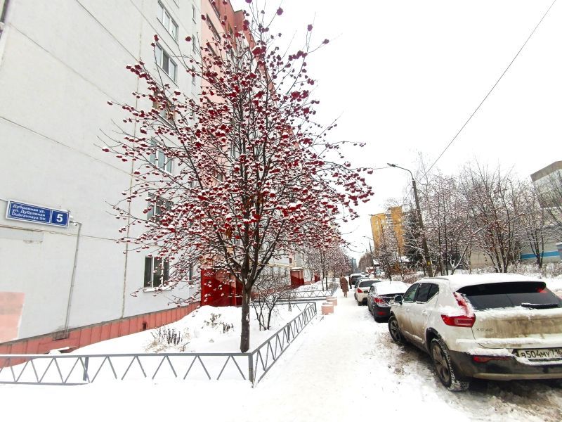 Дубравная улица, 5