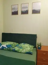 Революционная улица, 5