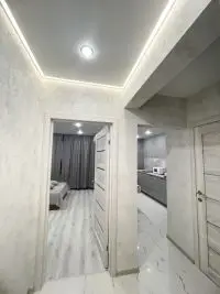 vip